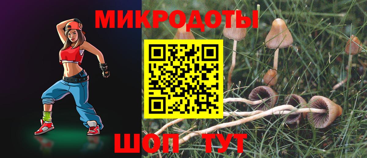 Псилоцибиновые грибы Psilocybine cubensis  Вход с VPN  Ревда 