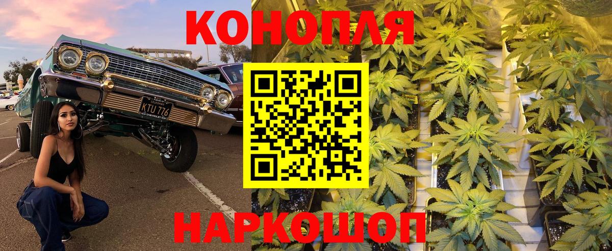 Марихуана план  Марихуана тримм  Вход с VPN  Ревда 